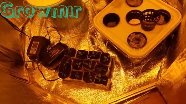 Выращивание растений под светом ДНАТ. Днат для растений. смотреть онлайн