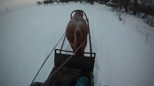 Домик в деревне. Собака друг человека! Русская печь. За окном -28. Белорусская Зима !!!