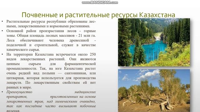 Рациональное использование природных ресурсов смотреть онлайн