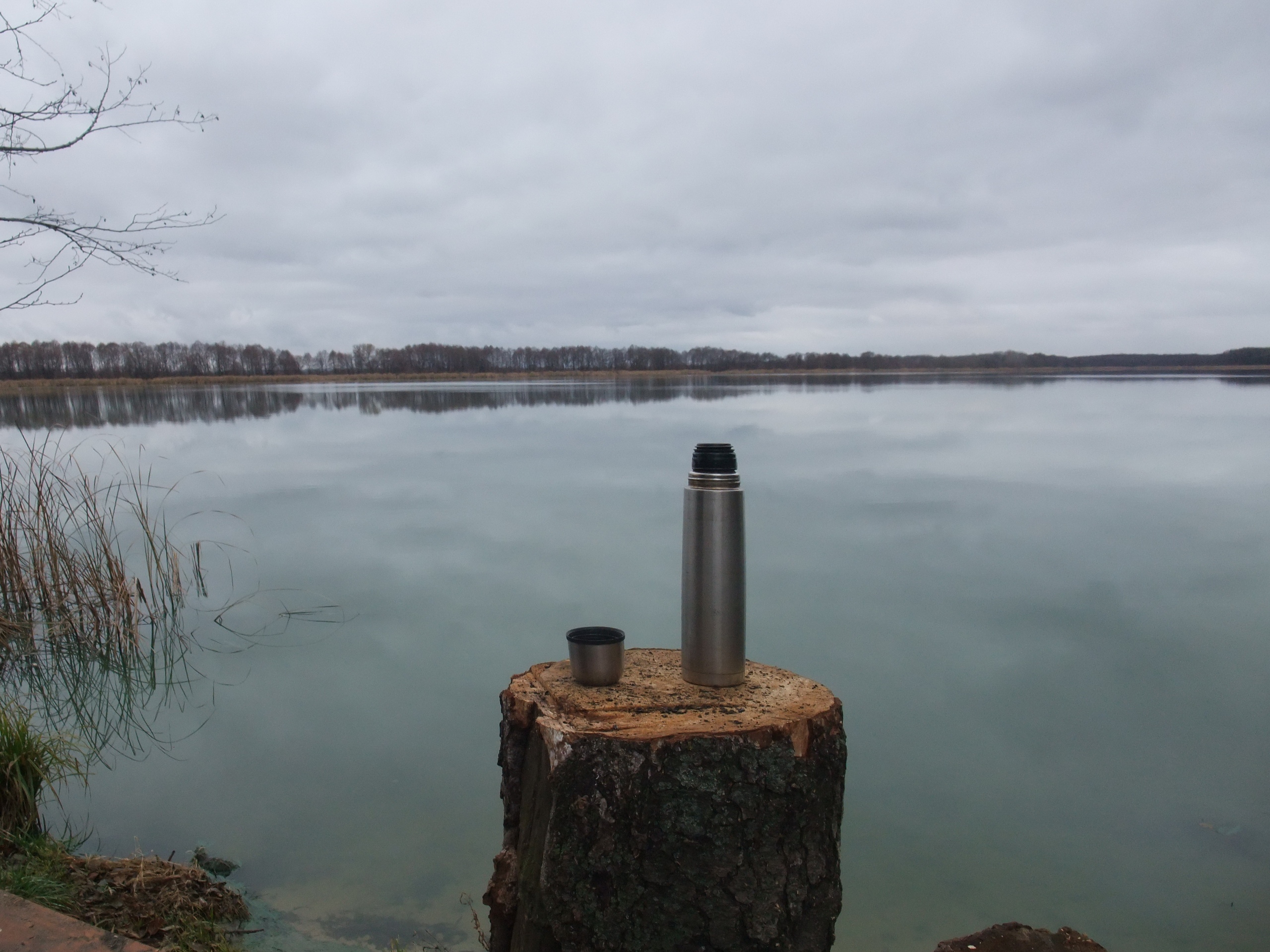 Погоново Воронежская область смотреть онлайн