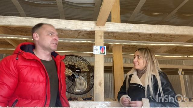 Плюсы и минусы выгонки тюльпанов в три яруса 2022 смотреть онлайн