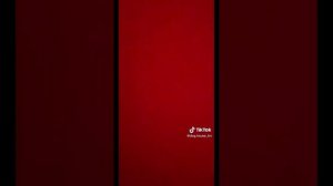 подборка видео про бумажных собак