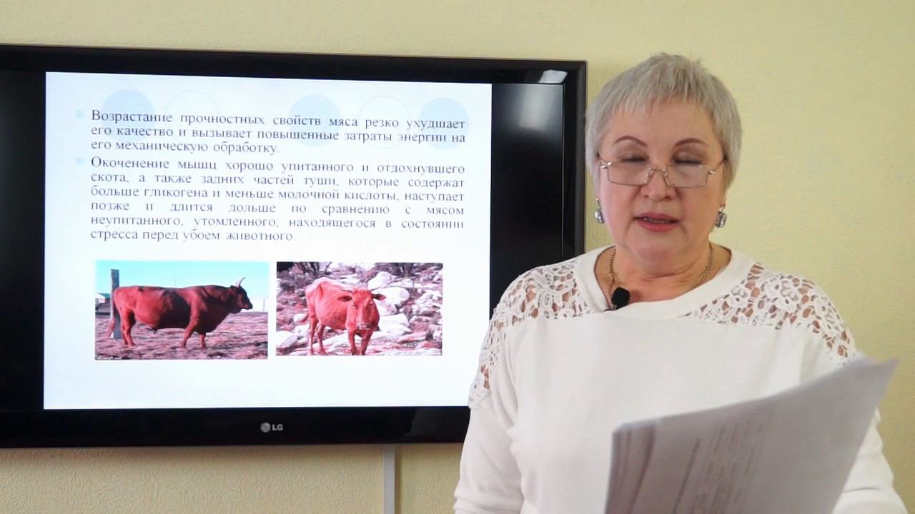 Владимцева Т.М. Изменения в мясе после убоя смотреть онлайн