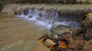 Шум ручья в лесу. Звуки лесного ручья - 2 часа для отдыха и дневного сна. Ласковый ручей журчит