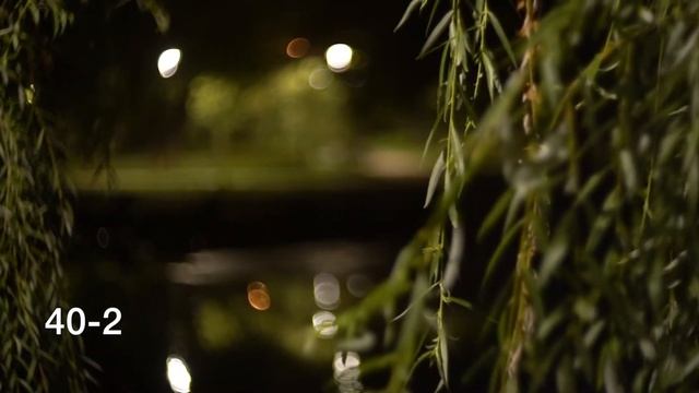 Helios 40-2 Vs Helios 44-2 - где БОКЕ круче? | Видео-обзор советских объективов Гелиос на Sony A7ii