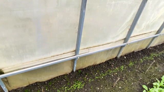 ???ПОЛИКАРБОНАТНАЯ ТЕПЛИЦА БЕЗ ФУНДАМЕНТА. Плюсы и минусы. Мой обзор и отзыв смотреть онлайн