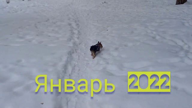 Зимняя Фея смотреть онлайн