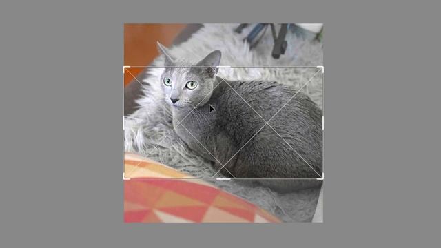 アスペクト比16:9でトリミング（Photoshop） смотреть онлайн