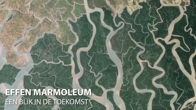 Next Generation Of Marmoleum (linoleum) | Forbo Flooring NL