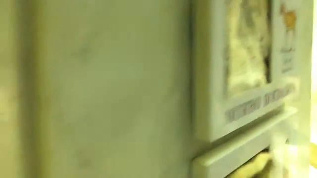 Мы на икскурсии смотреть онлайн