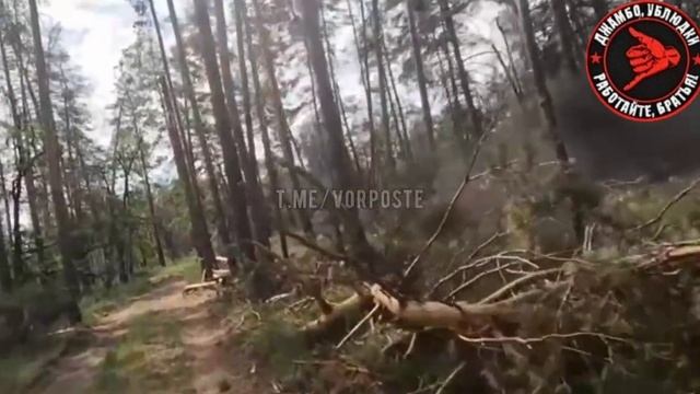 1????Всушник получил ранение в руку. ДЖАМБО?? (https://t.me/+YylQV2V1gqgzOTU6) смотреть онлайн