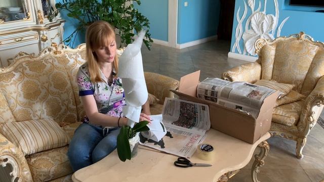 Как упаковать Орхидею для отправки почтой. смотреть онлайн