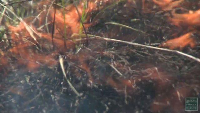 2012 Lone Star Land Steward: Gibson Ranches смотреть онлайн