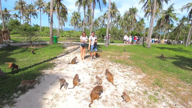 НЯЧАНГ, БЕЗ ПРОПИСКИ, Вьетнам