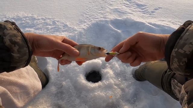 Отличная леска для зимней рыбалки. AQUA NL ULTRA и AQUA FC ULTRA Fluorocarbon Coated смотреть онлайн