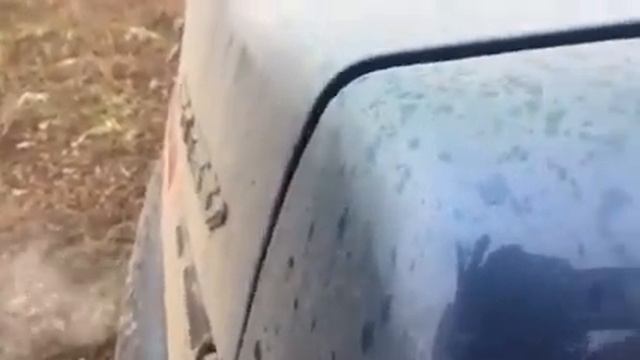 Dynamic State CSW-32.22 12