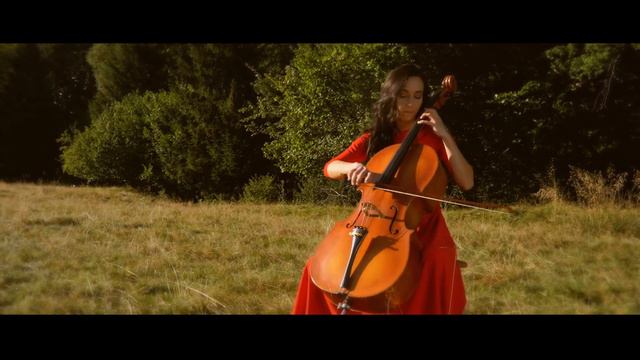 And They Have Escaped The  Weight Of Darkness