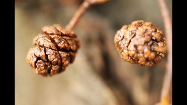 Интуиция. Как развить. смотреть онлайн