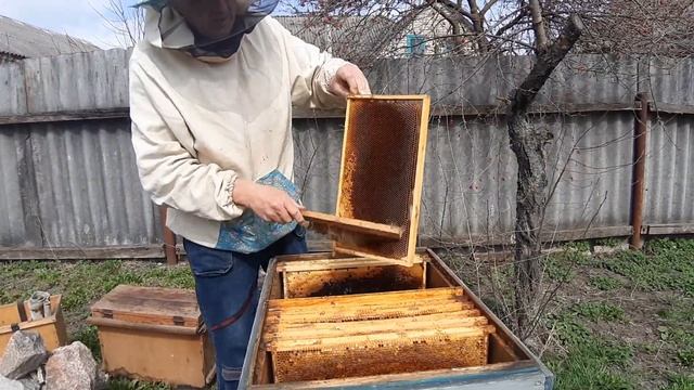 Самый неудобный случай весной в двухматочном улье смотреть онлайн