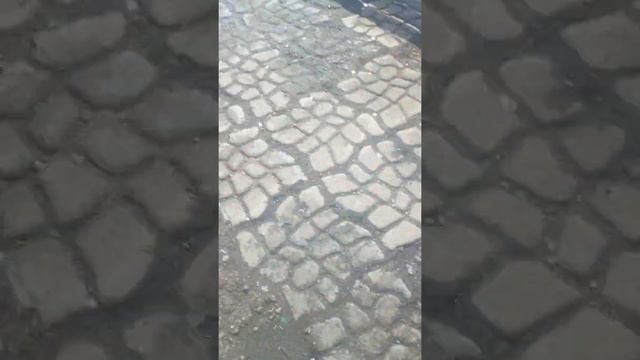 ПОЧЕМУ БЫ И НЕТ?! смотреть онлайн