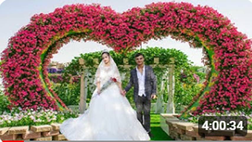 №8 Петр и Вера цыганская свадьба 10 октября 2021 смотреть онлайн