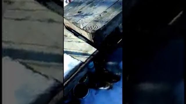 Топим баню,в папином доме. смотреть онлайн