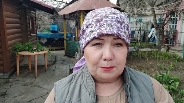 ВОТ КАКИХ БЫКОВ НАДО ДЕРЖАТЬ. КАЛМЫЦКОЙ ПОРОДЫ/БЫК МОНЯ СЕМЬ СЕМЬ ЛЕТ И ТЁЛОЧКИ смотреть онлайн