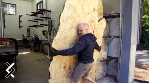 Дерево с чьего-то двора