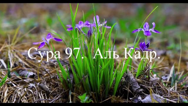 Сура 97. Аль кадр. смотреть онлайн
