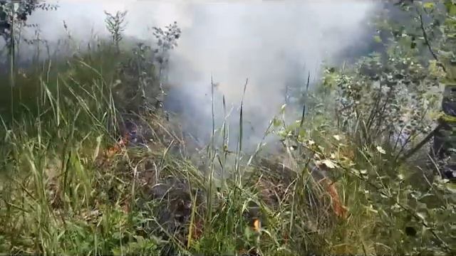 2019 05 26 Пожар на берегу реки Днестр смотреть онлайн