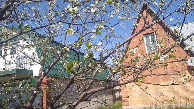 Прогулка по весеннему саду. смотреть онлайн