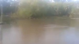 Паводок в Краснощеково Алтайского края