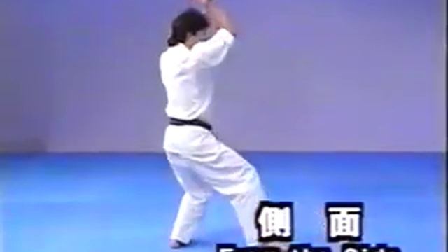 Kyokushin Encyclopedia - Vol 3 - Kata смотреть онлайн