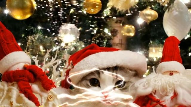 Белая зима новогодняя песня смотреть онлайн