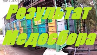 Итоги пчело сезона Сокращаем пчела семьи к профилактическому лечению от Акарапидоза Акарасан. смотреть онлайн