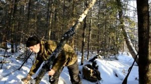 Ставим петли на зайцев и рябчиков. часть 1