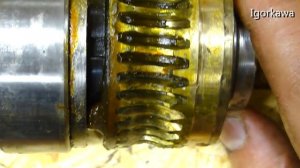 Делительная головка (Ревизия)