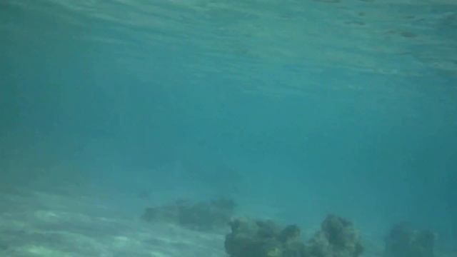 Красное море (Саудовская Аравия, ар-Раис): общий вид. смотреть онлайн