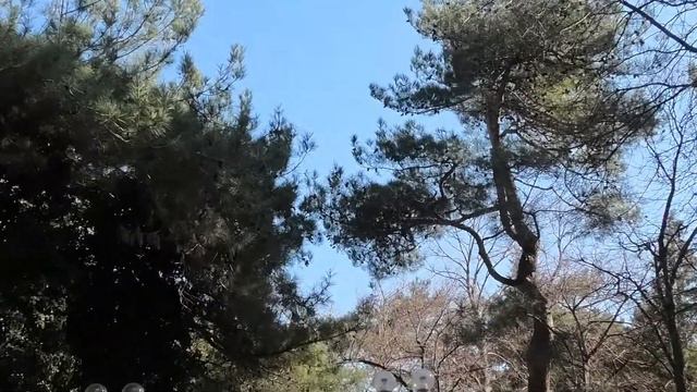 18 февраля 2020 Геленджик Пошли покормить уточек и чаек на море смотреть онлайн