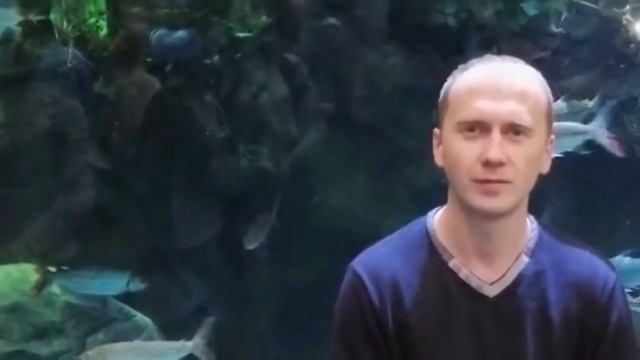 Мужское / Женское. К стене! смотреть онлайн