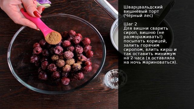 Путешествия Вокруг Света