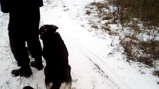 Рыбалка в сочельник смотреть онлайн