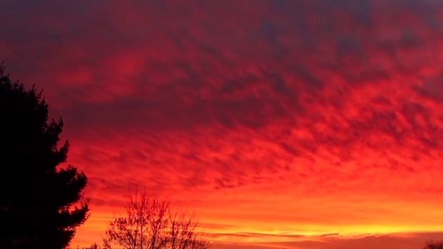 Самая Красивая Музыка на Свете !!❤️ Хочется Слушать Вечно !!! Сергей Чекалин #мелодиядлядуши