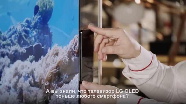 Флагманские модели LG OLED тоньше смартфона смотреть онлайн