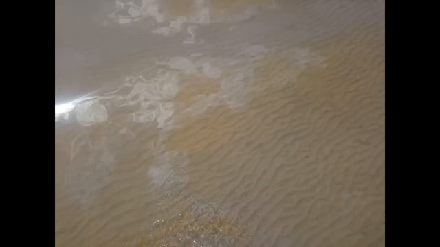 Вылазка с детьми на яхте "Дельфинъ" смотреть онлайн