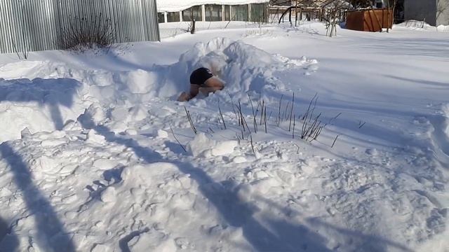 Вот так надо отдыхать зимой на даче!) смотреть онлайн