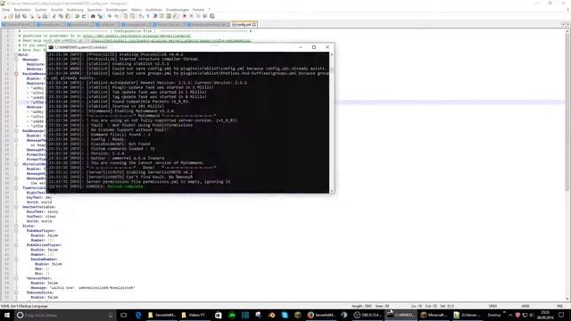 Best Minecraft MOTD Plugin [FREE] | Minecraft Plugins смотреть онлайн