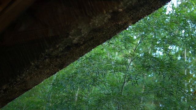 Kazuko Seiler plays Chopin Nocturne in C-sharp minor, Op. posth. in Kyoto Japan, Live-2020 смотреть онлайн