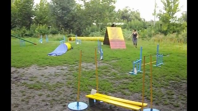 Аня и Флора. Тренировка по аджилити 04.08.13 смотреть онлайн