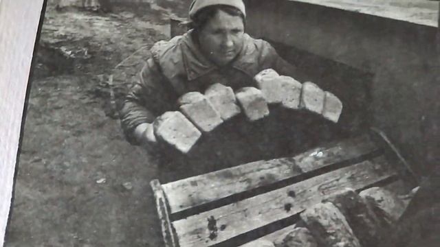 Как создать историю семьи смотреть онлайн